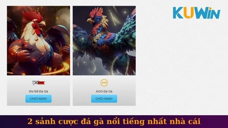 Đá gà 1 2 sảnh cược đá gà nổi tiếng nhất nhà cái