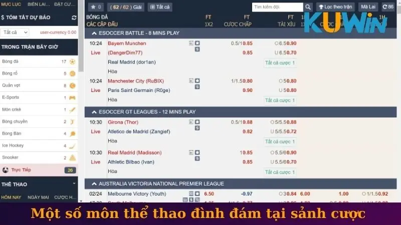 CMD thể thao 2 Một số môn thể thao đình đám tại sảnh cược