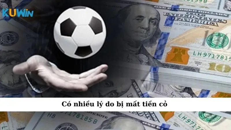 Cách Tính Tiền Cỏ: Bí Quyết Cho 1 Số Anh Em Cá Cược 4 Có nhiều lý do bị mất tiền cỏ