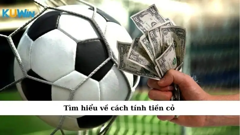 Cách Tính Tiền Cỏ: Bí Quyết Cho 1 Số Anh Em Cá Cược 1 Tìm hiểu về cách tính tiền cỏ