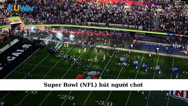 Sự Kiện Cá Cược Super Bowl (NFL) Khiến Bạn Cháy Túi Vì Quá Đã 2 Super Bowl (NFL) hút người chơi